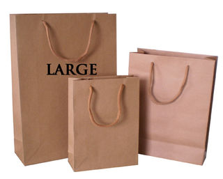 Paper Carry Bag large cord handle