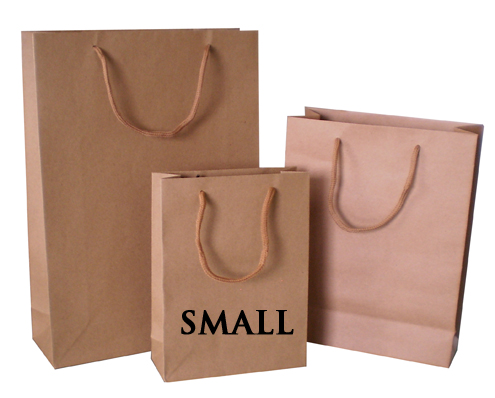 Paper Carry Bag small cord handle